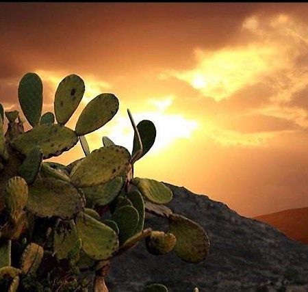Prickly Pear House Hotel Plaka  Exterior foto