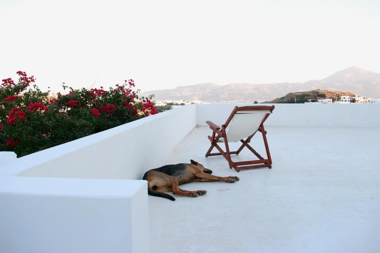 Prickly Pear House Hotel Plaka  Exterior foto