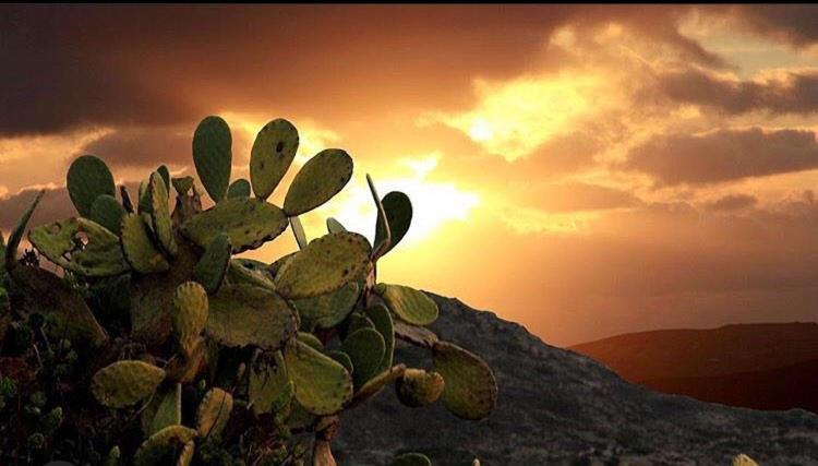 Prickly Pear House Hotel Plaka  Exterior foto